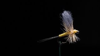 DSLR Raw Macro Product Shot Video