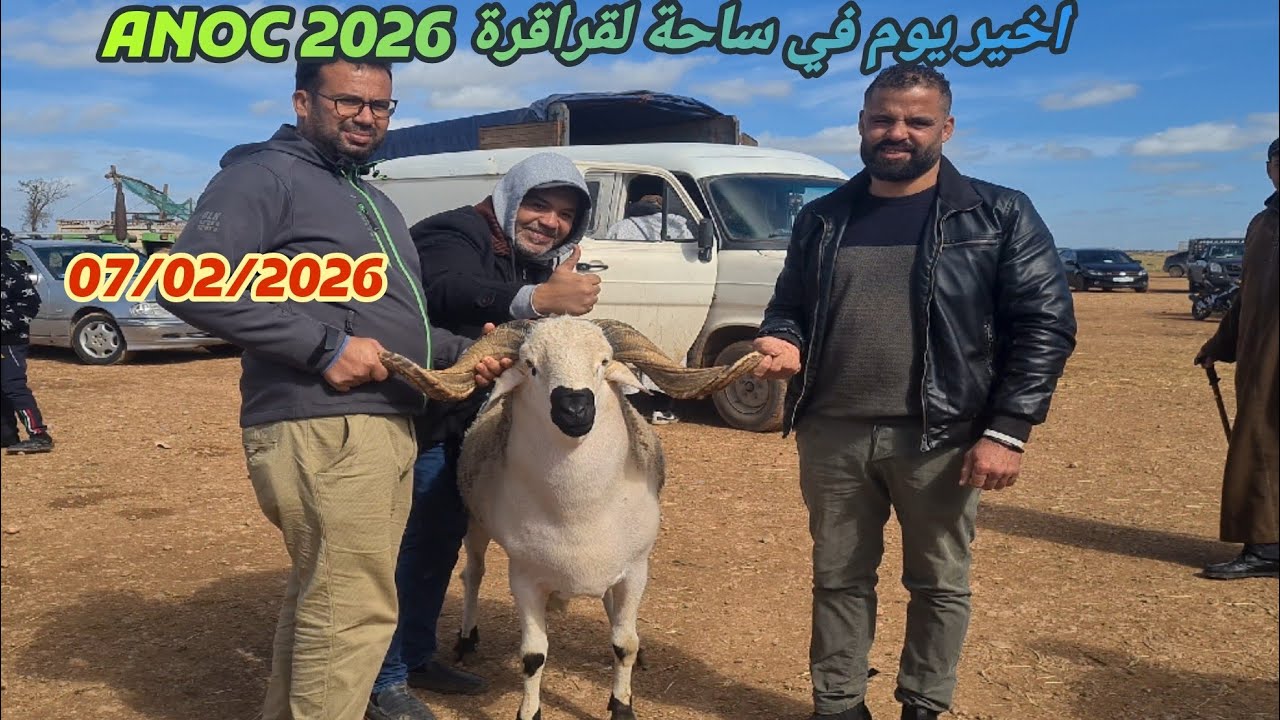 البيع والشراء اخير يوم في ساحة لقراقرة ANOC 2026 + تتويج الحاج تاغي بي 32 فحل سوبر 🐏