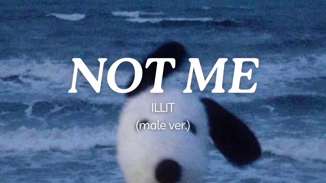 NOT ME (male version) | original by ILLIT