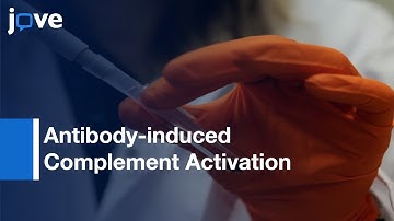 Antibody-induced Complement Activation on RBCs: Quantification | Protocol Preview