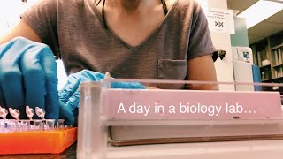 A Day in a Biology Lab - San Diego State University