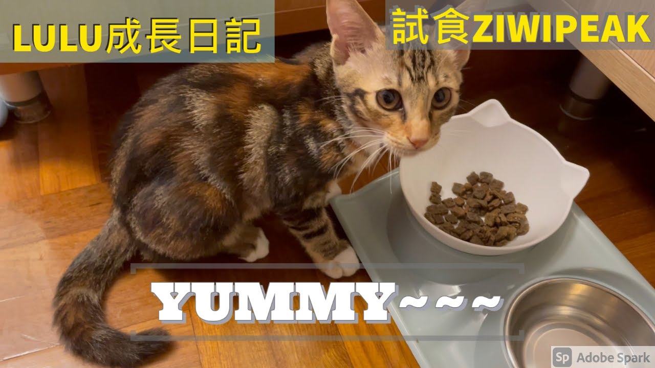 ziwipeak pancreatitis