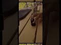 Fingerboard edit