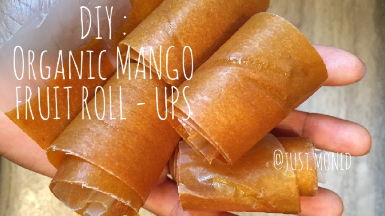 DIY Organic Fruit Roll Ups YouTube