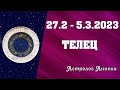 Фокус на финансы: что ждет в ближайшее время. Гороскоп Тельца на неделю 27.2 - 5.3.2023 / от Аннели