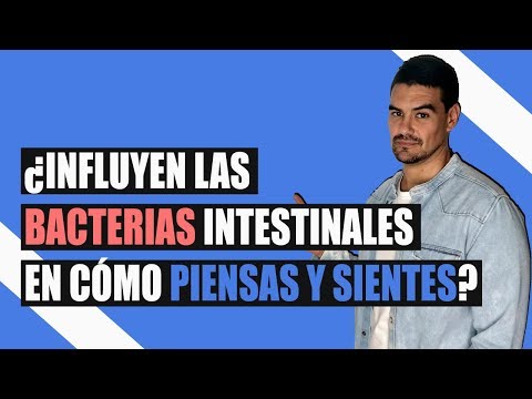 El Intestino: El