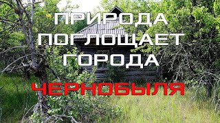 ГОРОД ЧЕРНОБЫЛЬ: БРОШЕННАЯ ЗЕМЛЯ / CITY OF CHERNOBYL: ABANDONED LAND ГОРОД ЧЕРНОБЫЛЬ: БРОШЕННАЯ ЗЕМЛЯ / CITY OF CHERNOBYL: ABANDONED LAND