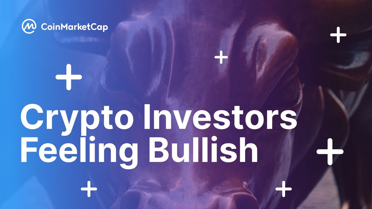 June 15, CoinMarketCap Daily Bullish Investors! 164k Altcoin BOOM