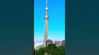 Download Lagu Sukaitsuri tokyo MP3