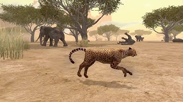Cheetah Family Simulator In Furious Savanna, Ultimate Savanna Simulator