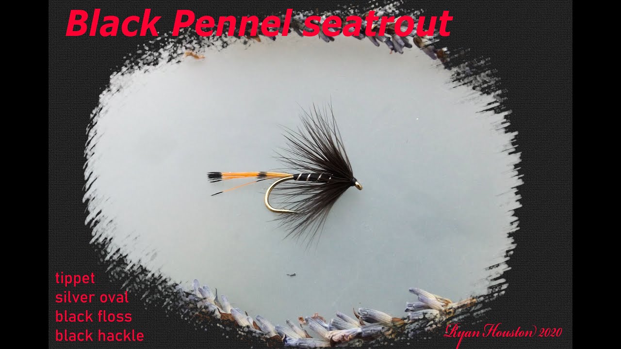 TYING THE BLACK PENNEL SEATROUT FLY WITH RYAN HOUSTON