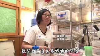【真情映台灣】20141022 - 林宗岐