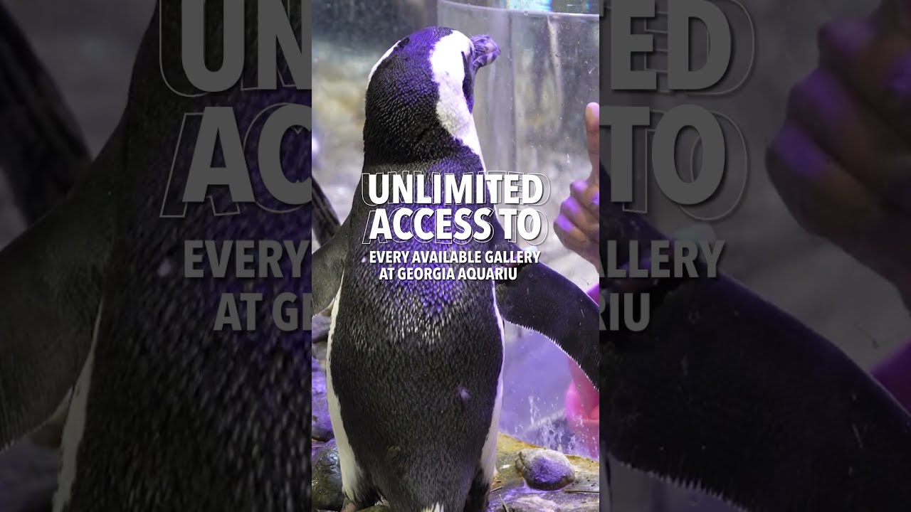 Pay For A Day Come Back All Year AQUA PASS 2025 