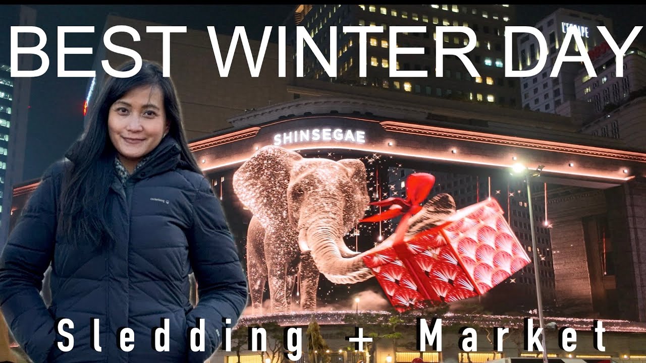 Seoul Winter Day Trip: Konjiam Sledding, Namdaemun Street Food & Myeongdong Lights 🇰🇷