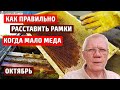 Сборка гнезда  Сколько должно быть меда