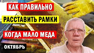 видео: Как собрать гнездо пчел на зиму? Сколько должно быть меда на зиму? картинка: Как собрать гнездо пчел на зиму? Сколько должно быть меда на зиму?