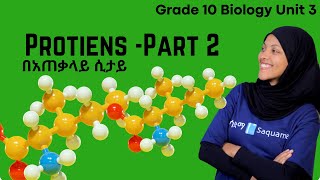 Grade 10 Biology Unit 3: 3.1.3 Proteins- part 2|ሳቋማ |Saquama
