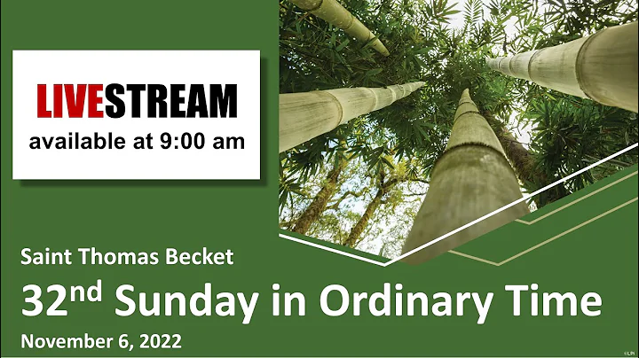 32nd Sunday in Ordinary Time  -  November 6, 2022