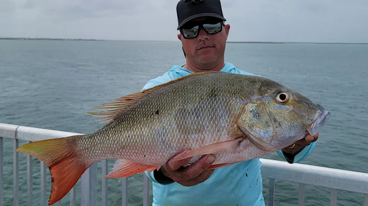 Pesca de Pargos y Civiles Grandes en Puentes, No v...