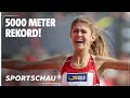 Die Finals - Klosterhalfen läuft zur Deutschen Meisterschaft und bricht Rekord | Sportschau