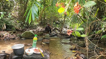 Câu cá Suối trong rừng | kho Tôm, Cá nấu cơm ăn | cảnh đẹp dòng Suối tự nhiên | Câu Cá Giải Trí