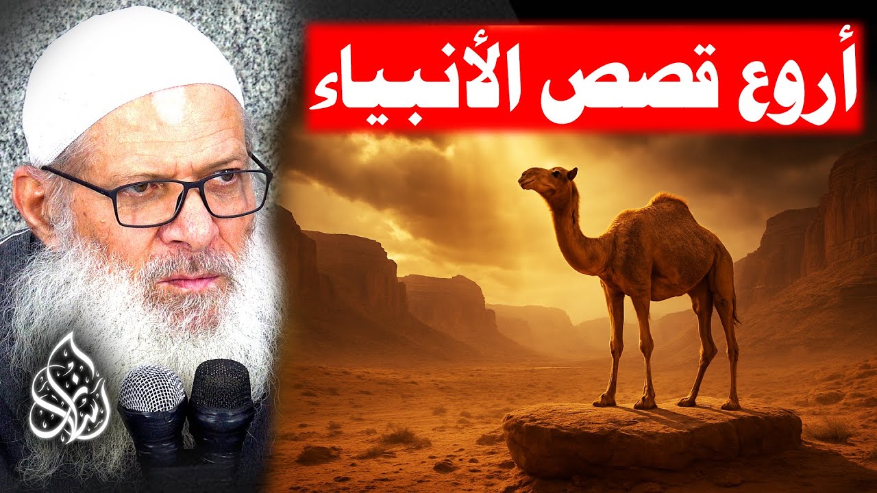 ما أسلوب صالح عليه السلام في دعوة قومه ؟ ( 126 ) قصص الأنبياء