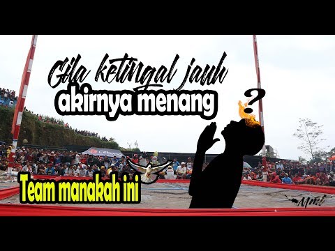 Gila merpati setut panjang emang berbahaya!!!!