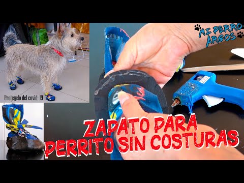 🎬 Video relacionado con zapatos para perros grandes