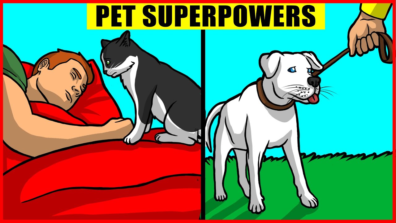 If Your Pet Does This, Big Danger's Coming!
