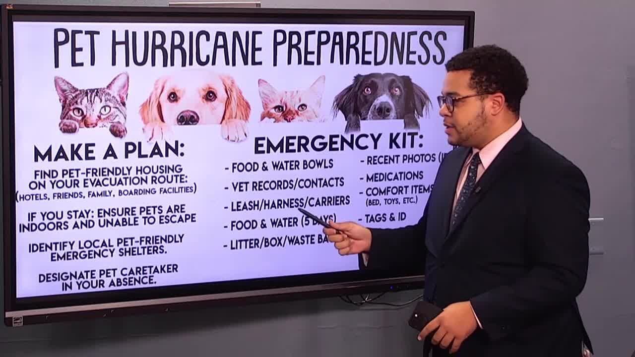 Pet Hurricane Helene preparedness