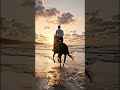A man riding a horse near beach