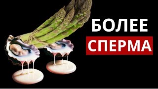 5 ПРОДУКТОВ, которые производят 🦪МНОГО СПЕРМЫ У МУЖЧИН