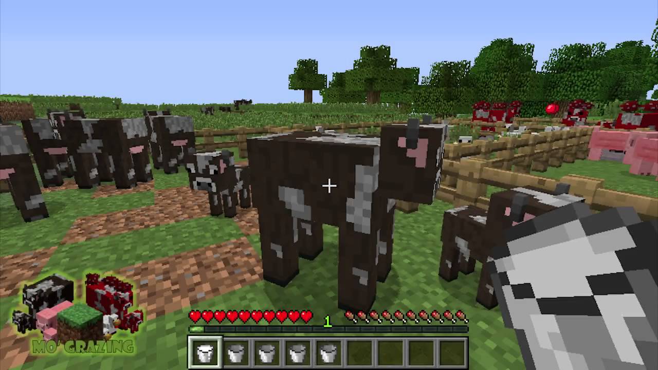 Forte Review in 2 1/2 Minutes!: GrowthCraft - YouTube