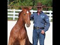 Equine affaire educational program  warwick schiller on working your horse from the ground