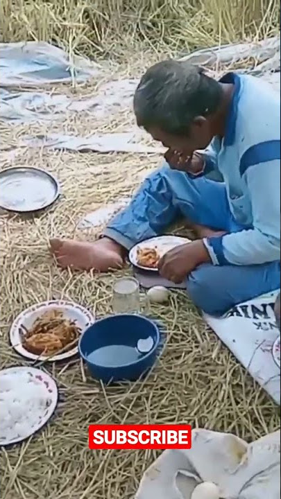 Mau tau rasanya makan di sawah, Petani di Tapanuli