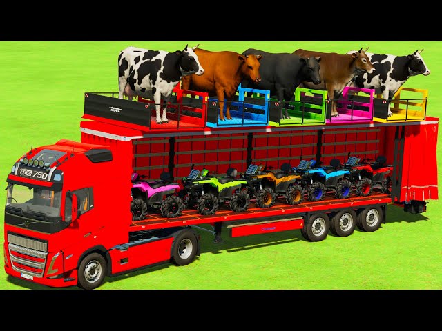 LOAD & TRANSPORT COWS AND MINI QUAD BIKES WITH VOLVO TRUCK - Farming Simulator 22 class=