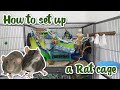 How to set up a Rat cage