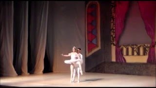 Trechos Do Grand Pas De Deux A Bela Adormecida