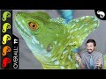 Green Basilisk, The Best Pet Lizard?
