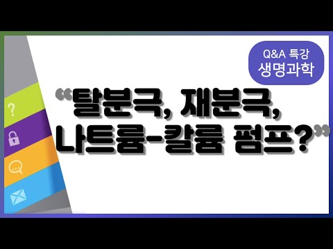 탈분극, 재분극 시에도 나트륨-<strong>칼륨</strong> 펌프는 작동하나요? | 생명과학, 변춘수, 여한종Q&amp;amp;A 특강, 공부법 | EBSi 고교강의