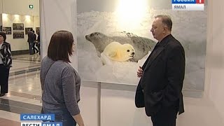 «Волшебный мир Арктики»: главный фотопроект Сергея Анисимова на выставке в Салехарде(, 2015-03-23T10:01:48.000Z)