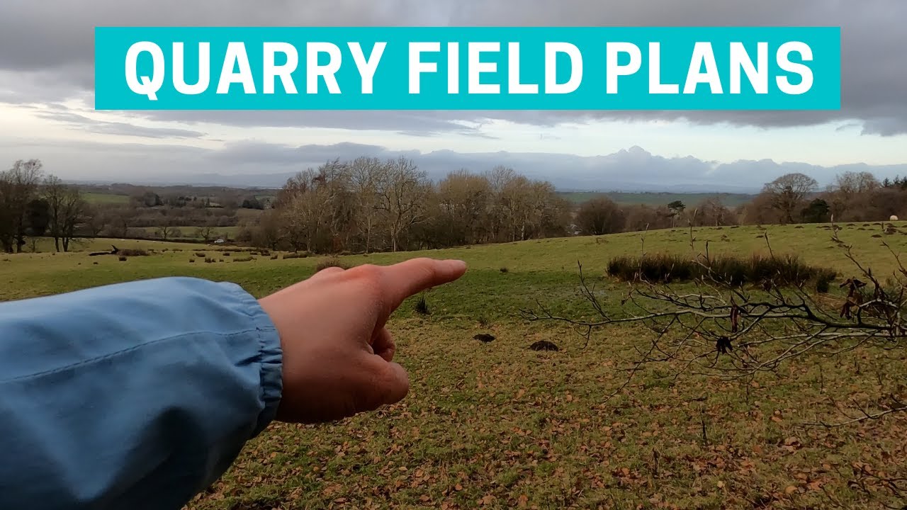 Our Plans for the Quarry Field