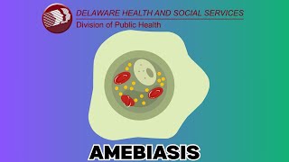 Amebiasis | Frequently Asked Questions