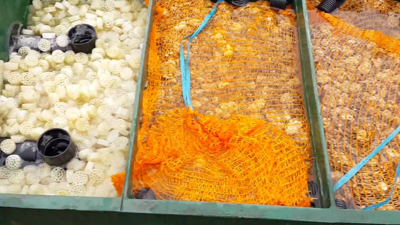 complete koi fish box filter system Kockney Mega | Pond 3000L Fish Pond Bakki Shower Trickle