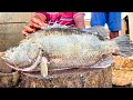 Kasimedu  mr punga  big sea balck koduva fish cutting  in kasimedu  ff cutting 