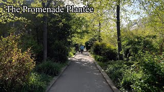 Paris HighLine - The Promenade Plantée (Coulée Verte René-Dumont) #iloveparis #foryou
