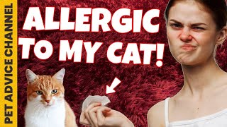 Tips for dealing with cat allergies when you have a cat by Pet Advice Channel 152 views 2 years ago 5 minutes, 22 seconds