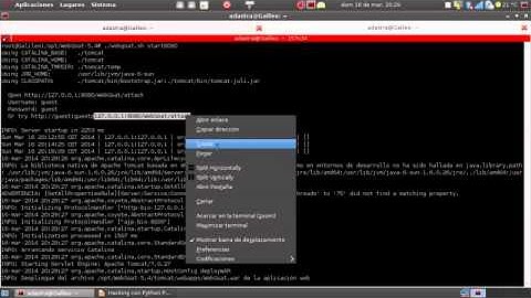 Hacking con Python - Parte VII Manipulacion de Peticiones http