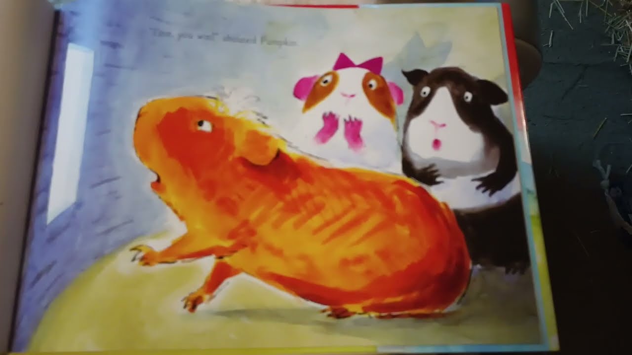 The Three Little Guinea Pigs - Read Aloud Story 