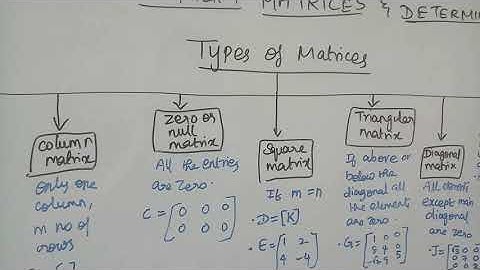 Business maths Matrices Tn new syllabus class 11  chapter 1 introduction types of Matrices